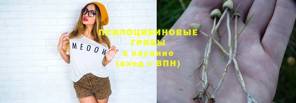 гидра Баксан