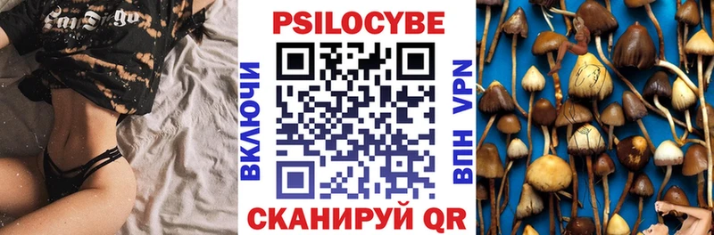 Галлюциногенные грибы Psilocybine cubensis  Краснокаменск 